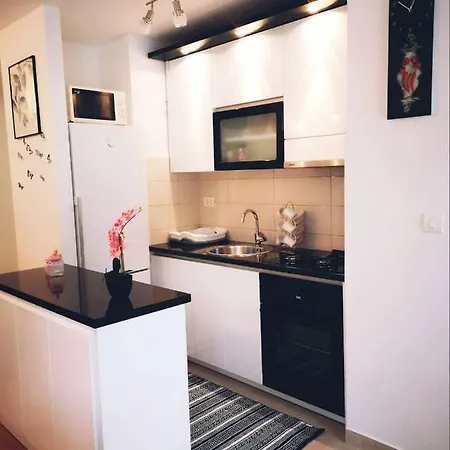 Studio Apartman Bacinka