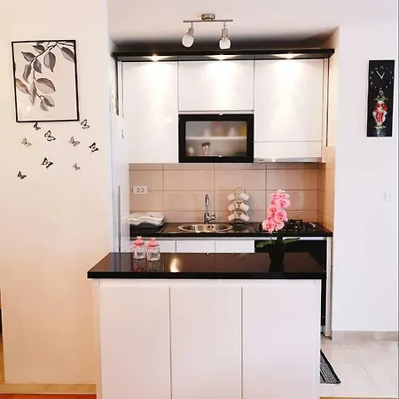 Studio Apartman Bacinka Apartment Bacina